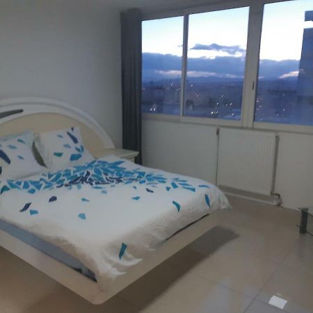 Appartement Laurent Bonnevay Villeurbanne Eksteriør bilde