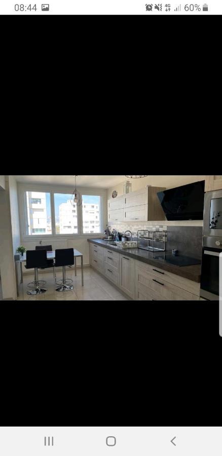 Appartement Laurent Bonnevay Villeurbanne Eksteriør bilde