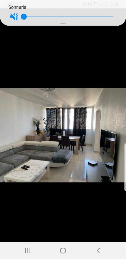 Appartement Laurent Bonnevay Villeurbanne Eksteriør bilde