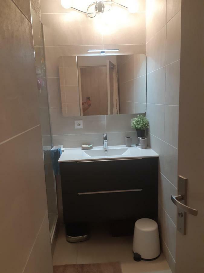 Appartement Laurent Bonnevay Villeurbanne Eksteriør bilde